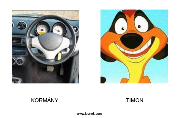 Kormány-Timon
 
