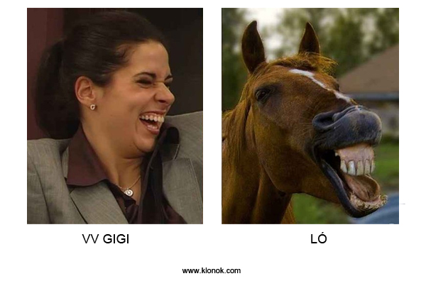 Gigi-Ló
 
VV Gigi - Ló