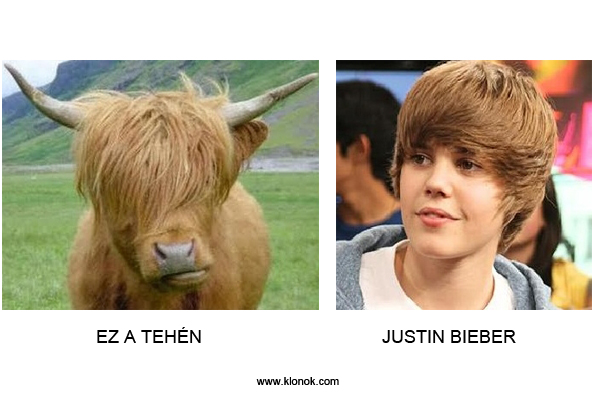 Tehén - Justin Bieber
 
