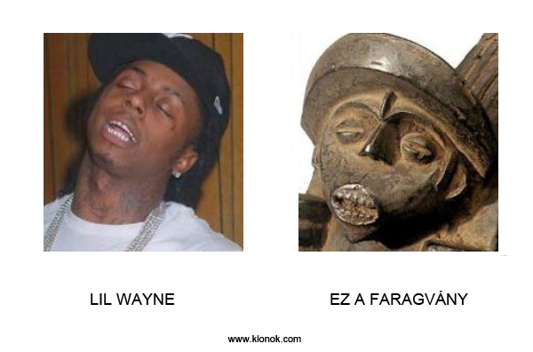 Lil Wayne - Faragvány
 
