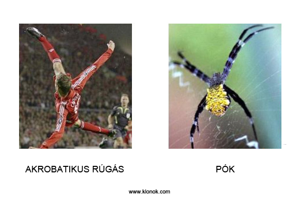 Akrobatikus rúgás - Pók
 
