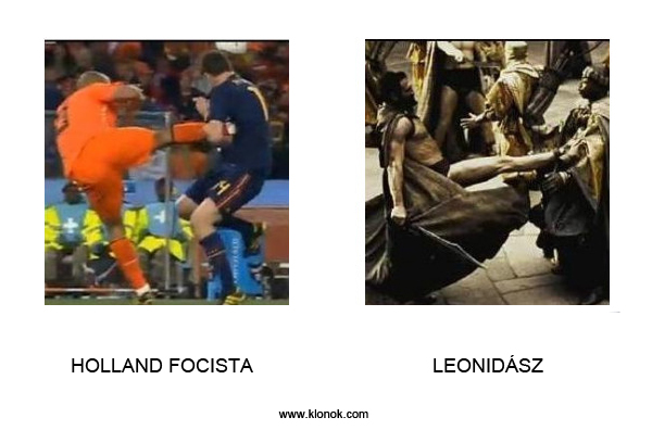 Holland focista - Leonidász
 
