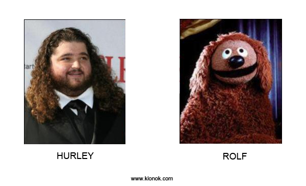 Hurley - Rolf
 
