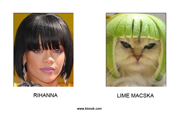 Rihanna - Lime macska
 
