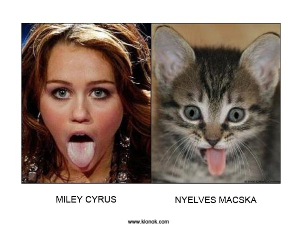 Miley Cyrus - Macska
 
