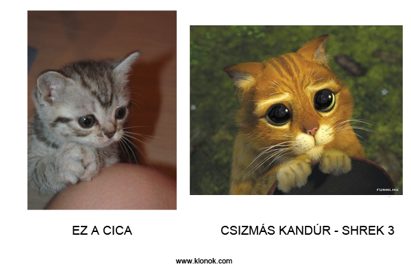 Cica - Csizmás Kandúr
 
