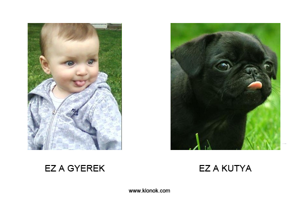 Gyerek - Kutya
 
